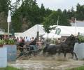 IMG_5718.jpg