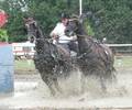 IMG_5708.jpg
